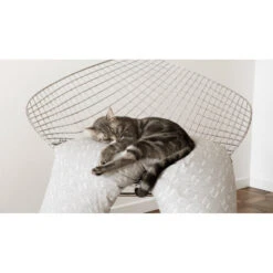 Coussin De Maternité Big Flopsy Jersey De Coton BEABA Tiny 9 Coussin De Maternité Big Flopsy Jersey De Coton BEABA Tiny -Made4baby coussin de maternite big flopsy jersey de coton beaba tiny 3