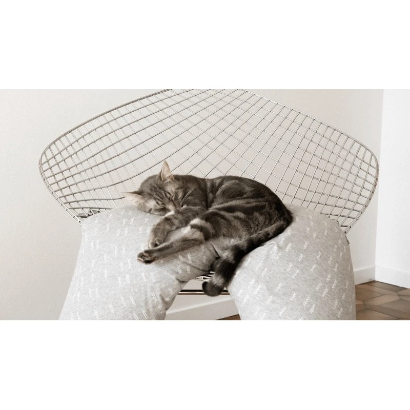 Coussin De Maternité Big Flopsy Jersey De Coton BEABA Tiny 6 Coussin De Maternité Big Flopsy Jersey De Coton BEABA Tiny – Image 4